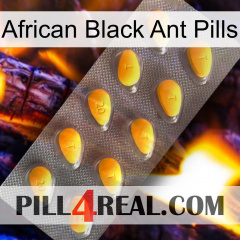 African Black Ant Pills cialis1